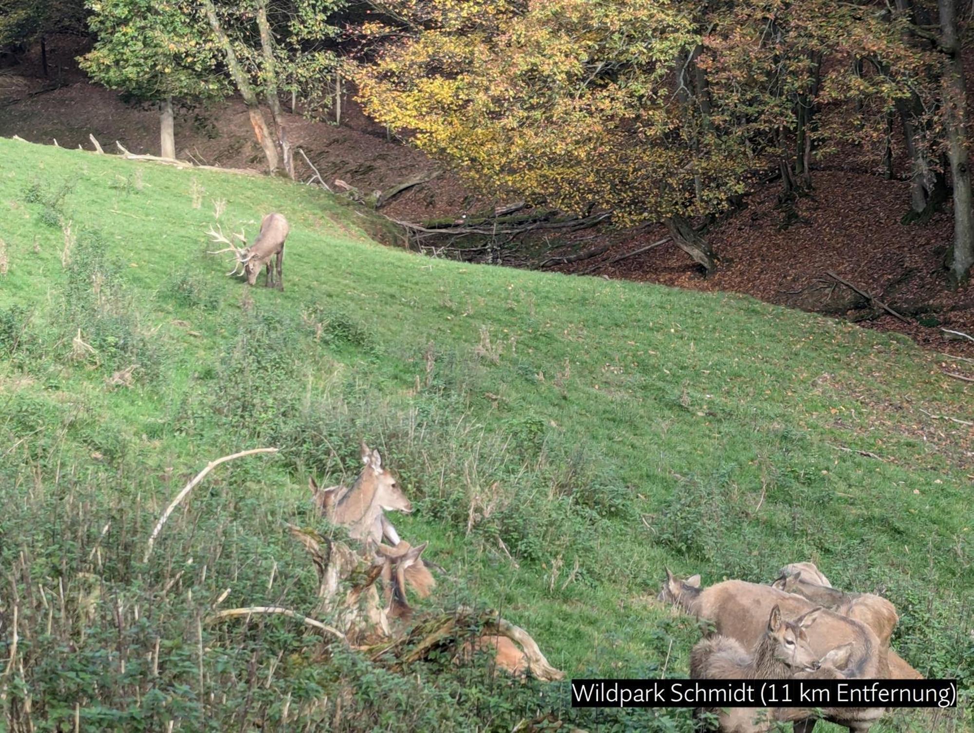 Eifel-Ferienhaus Landblick Hürtgenwald Exteriér fotografie